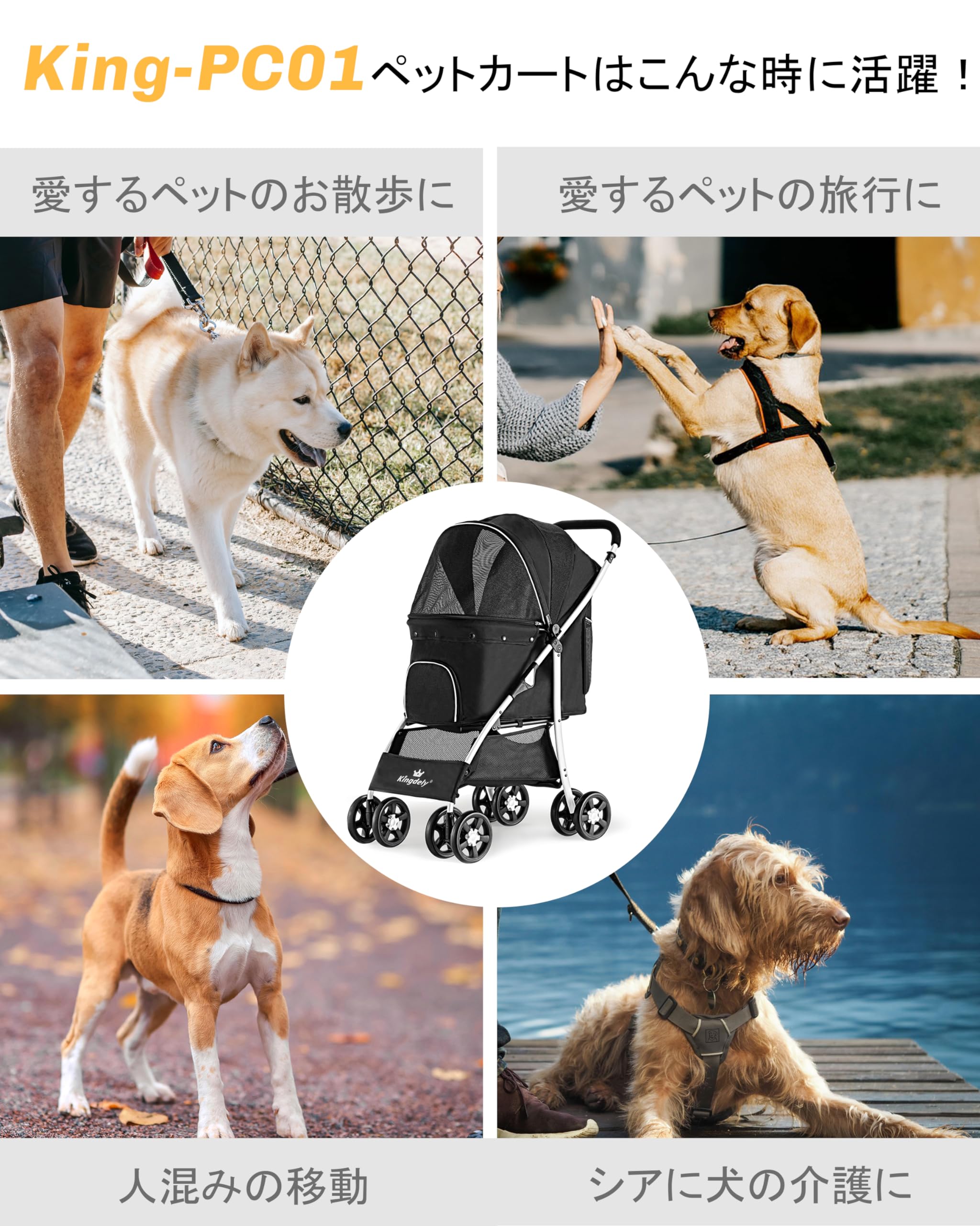 ♥夏の大特価Sale‼️イギリスお目目の可愛いドックカート②❤️ ♥夏の大特価Sale‼️イギリスお目目の可愛いドックカート②
